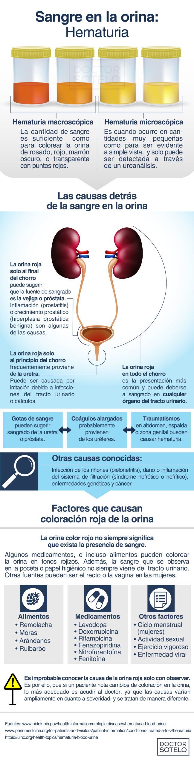 HEMATURIA - Dr. René Sotelo